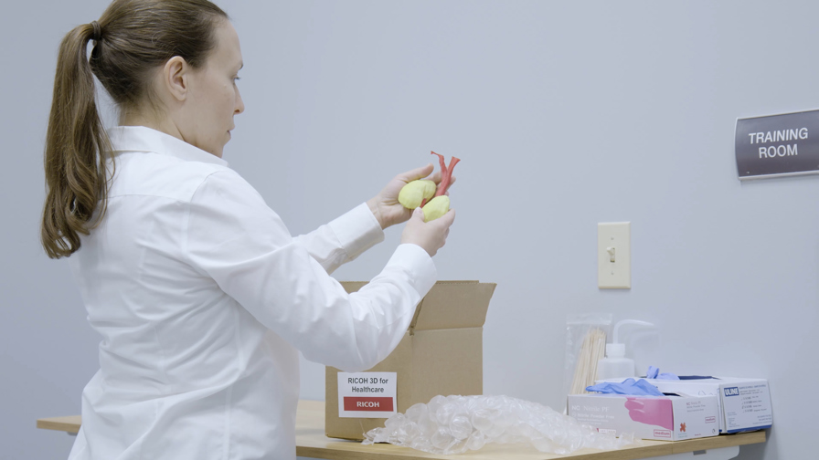 ⠀3D Printed Full-Color Kidney Model ⠀3D Printed Full-Color Kidney Model