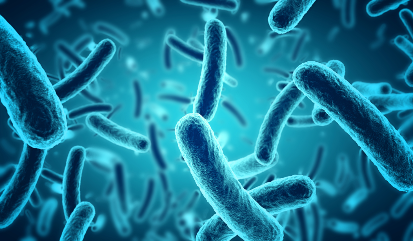 antimicrobial coating
