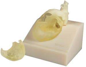 3d printed pediatric heart model