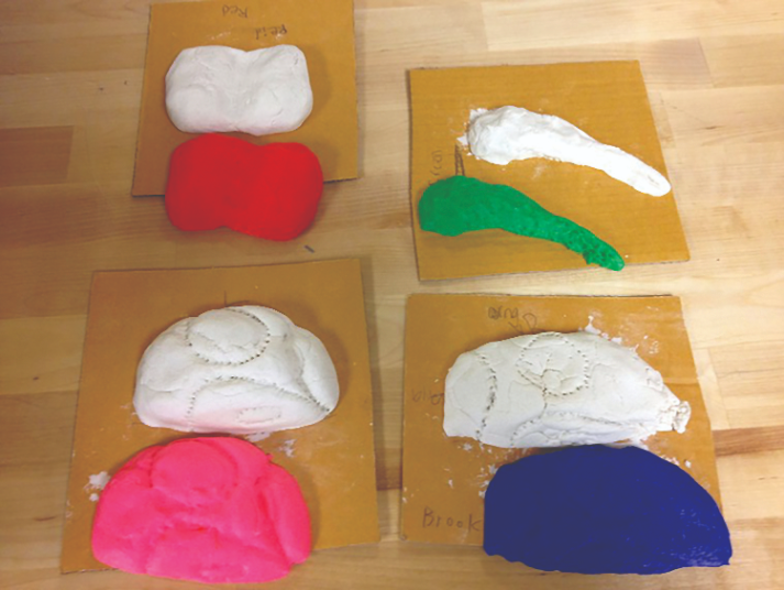 Cedar Park Elementary School students sculpted models for scanning and 3D printing anatomy models.