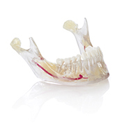 VeroDent PureWhite DEN847™ ​.jpg