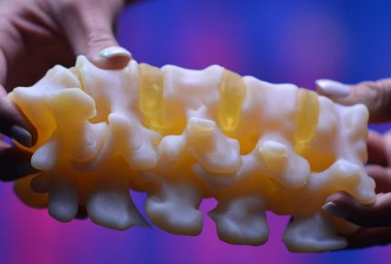 Biomechanical bone data hero image.