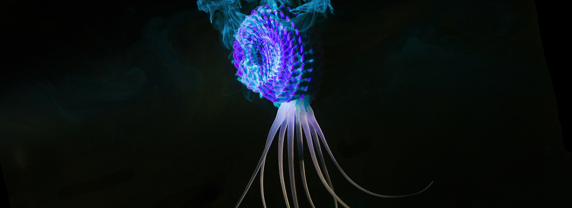 3d printed fine art against black backdrop. 