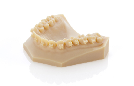 J3 Dental Models