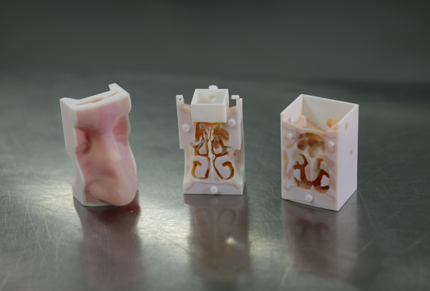 3d printing clinical simulation
