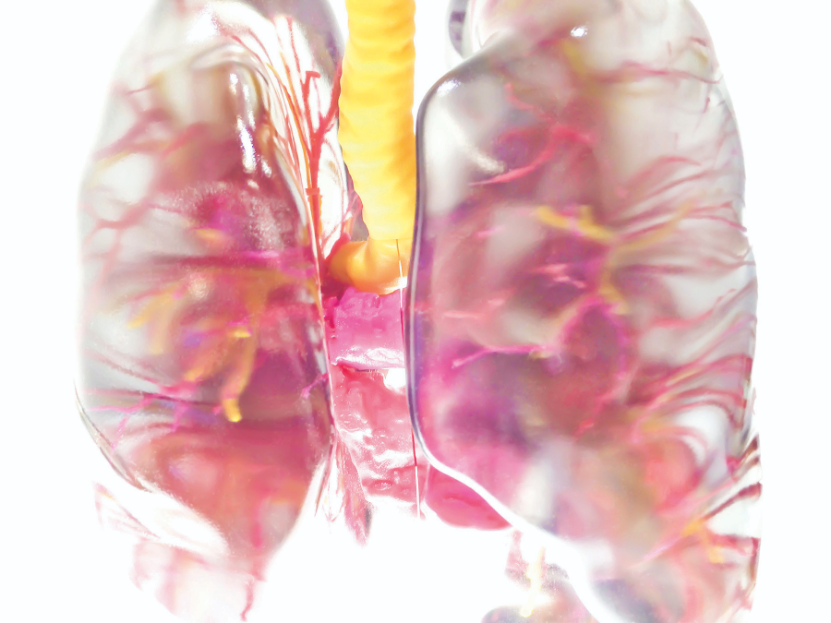 Groups of closely related organs are 3D printed for medical
students to learn their structures and relationships.