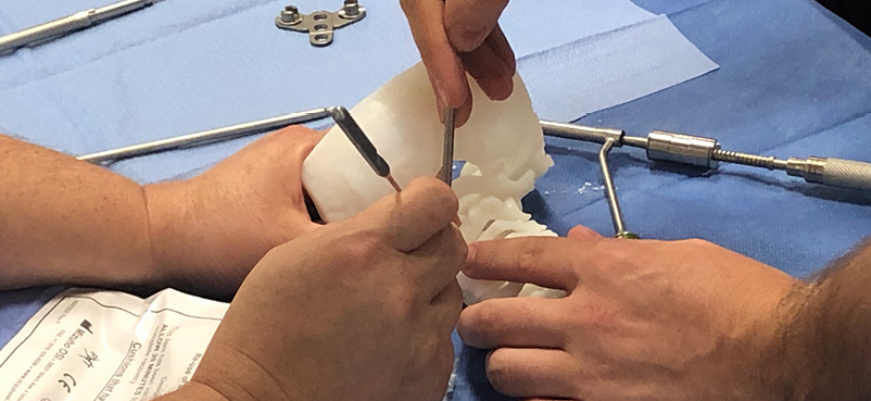 Evaluation Anatomical Models to Human Bone