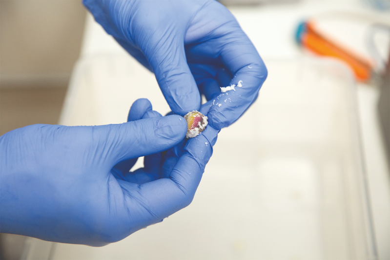 Hands holding a newly 3D printed pebble. 