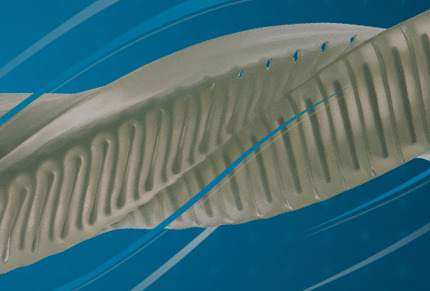 PXL Hero Banner Research Package