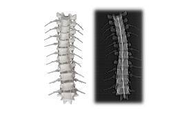 radio-matrix-3d-printing-material