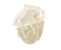 tissue-matrix-3d-printing-material