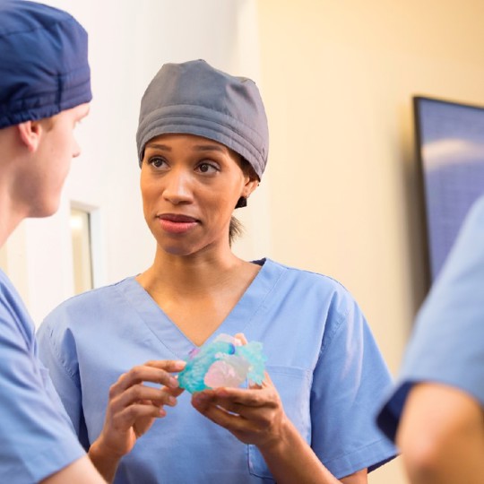 Medical professionals discussing a 3D printed anatomical model