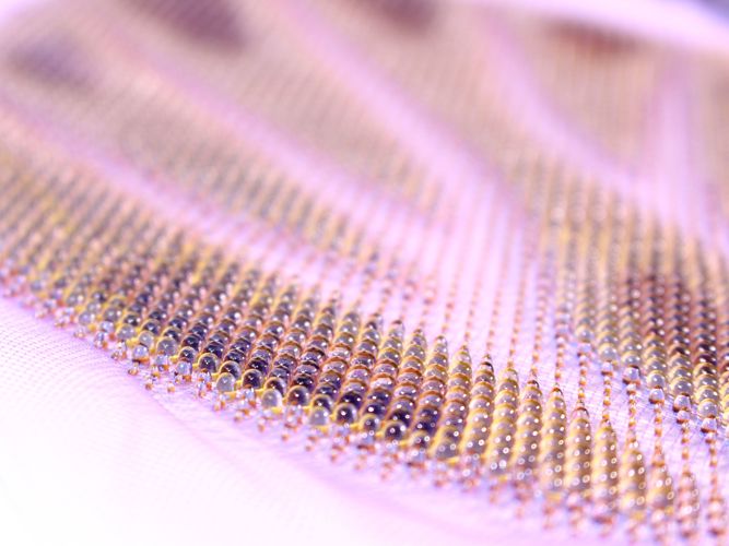 3d printed fashion design sample pink