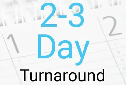 2-3 day