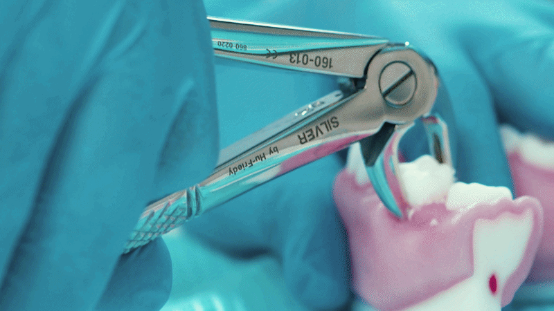 College_Dental_Simulation_
