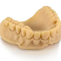 Dental Model 3D printed with Med620 Denture Material by Stratasys