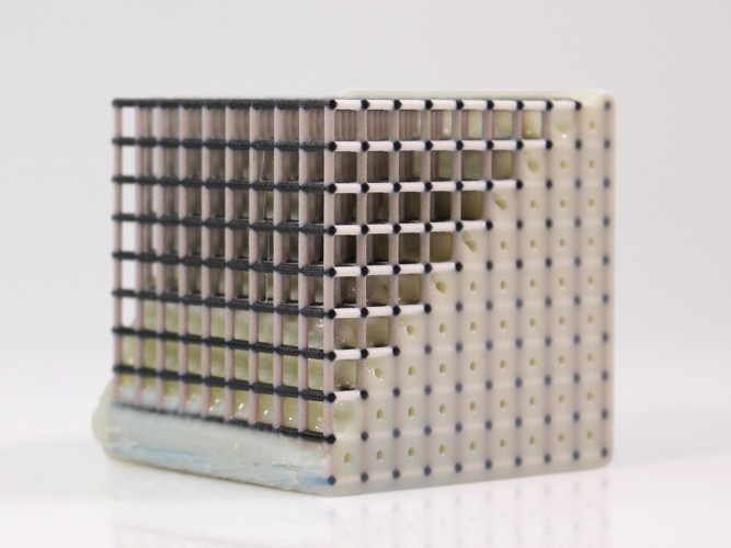 Mesh with WSS Support Removal