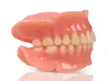 Stratasys TrueDent with TrueVoxel 3D printed denture sideview with cervical shading.