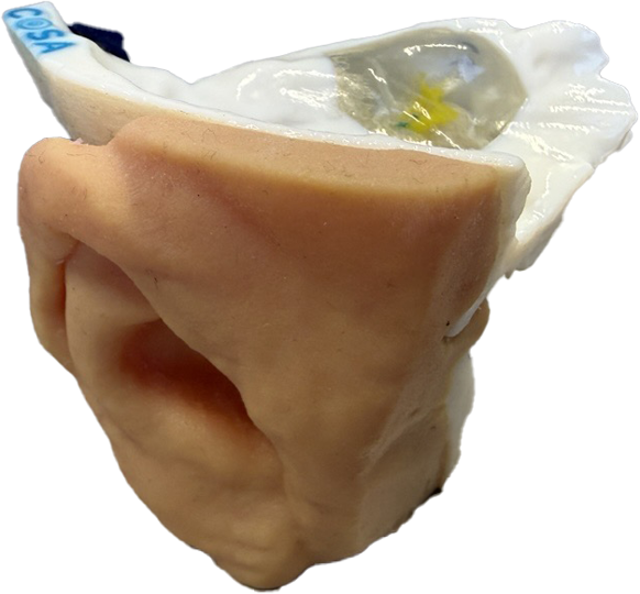 Stratasys社製の3Dプリント手術訓練用眼球