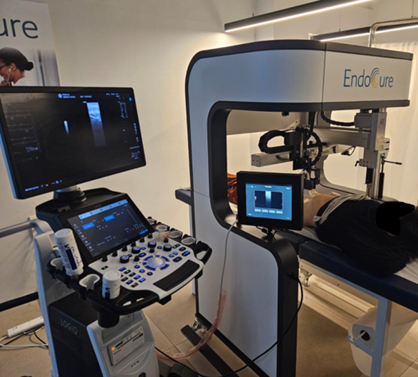 EndoCure performing a modeling exercise