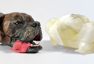 Enhancing Veterinary Care with 3D Printing