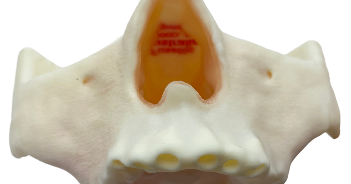 FuseTec、Digital Anatomy™を活用して歯科教育を拡大 | Stratasys