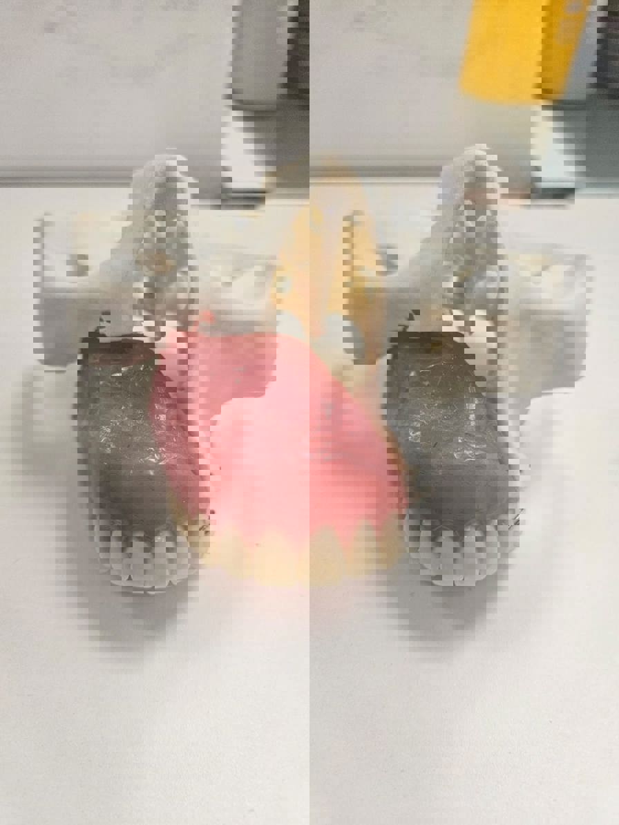 multi material digital anatomy craniomaxillofacial model