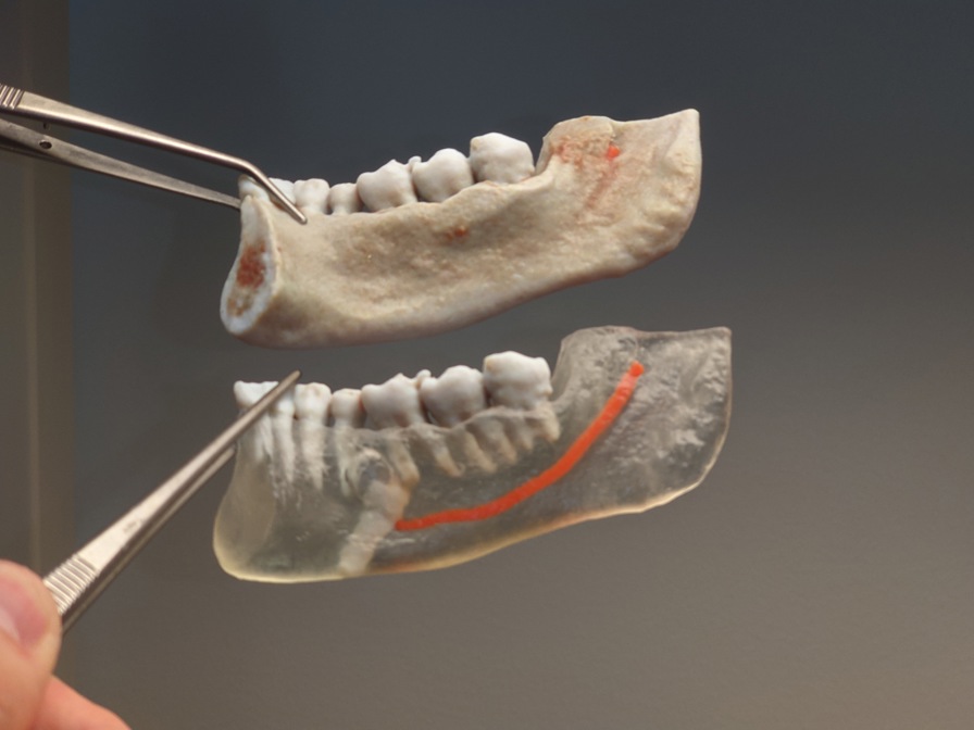 PXL 20220207 133041263